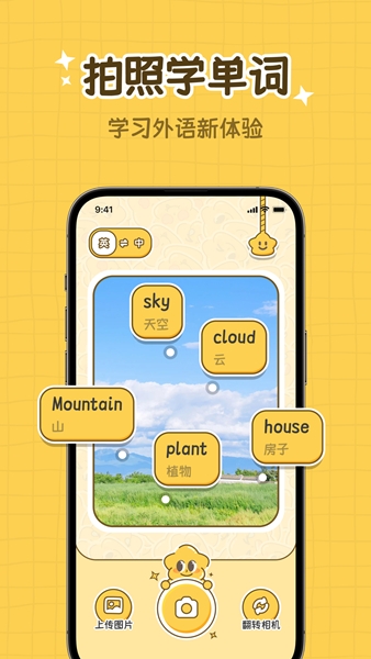 拍拍单词软件