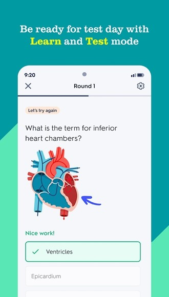Quizlet付费解锁版