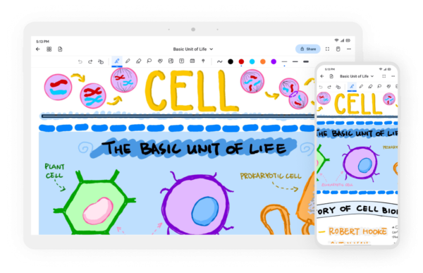 Notewise解锁高级版