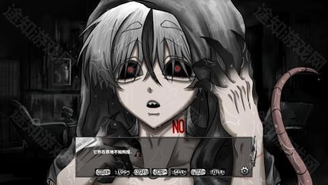 啮齿动物no.44观察记录 啮齿动物no.44观察记录